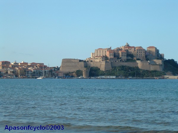 Calvi