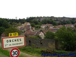 Orches à l'abri de la falaise