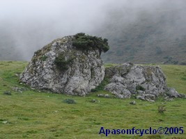 au sommet dans la brume