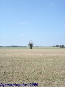 hors des zones forestières
