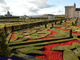 partie gauche du jardin d'ornement