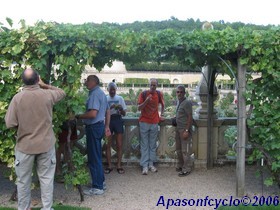 Jean-Louis, Jean D, Raymond, Daniel et Claude H