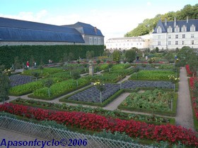 le potager
