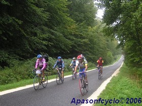 petite route forestire au calme