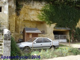 troglodytes