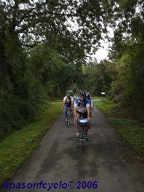 cyclistes dans un tunnel végétal
