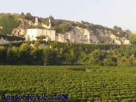 habitations troglodytes et vignes