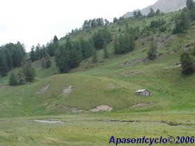 paysages dans la montée