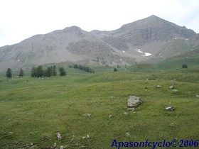 pelouse d'altitude